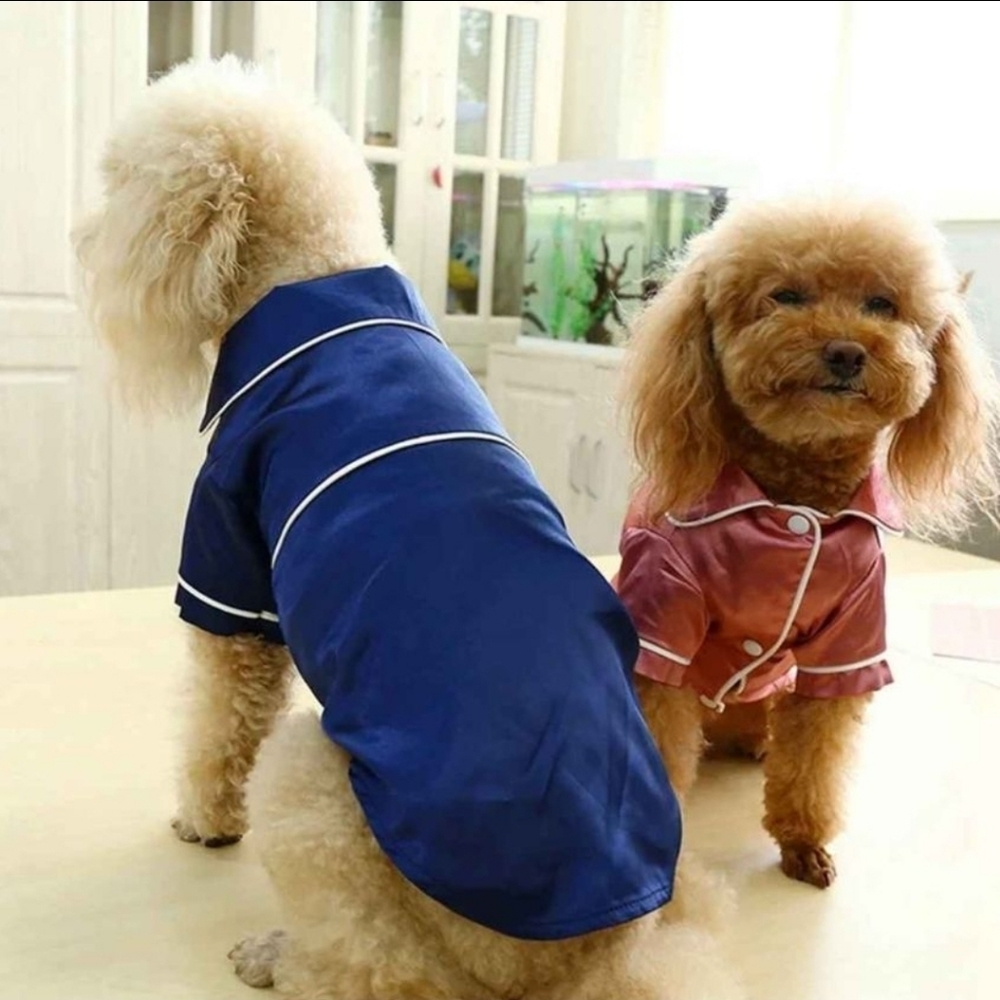 Soft Silk French Bulldog, Small/Medium Dog or Cats